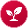 Start From Zero Icon